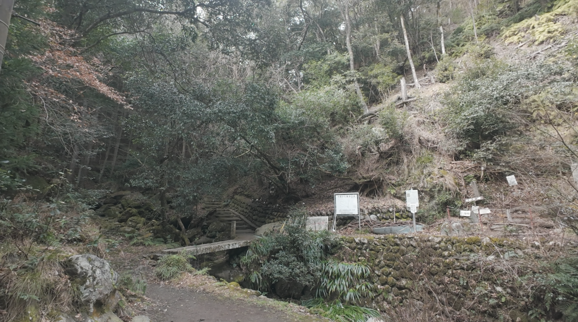 橋